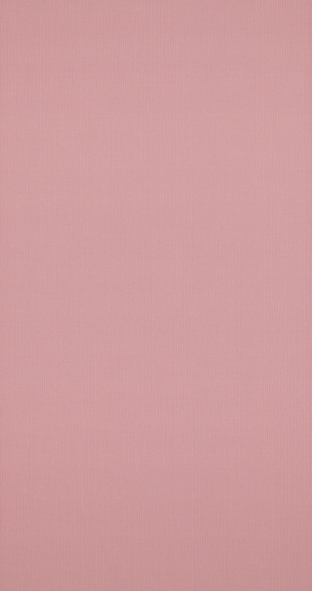 Бледно-розовый цвет