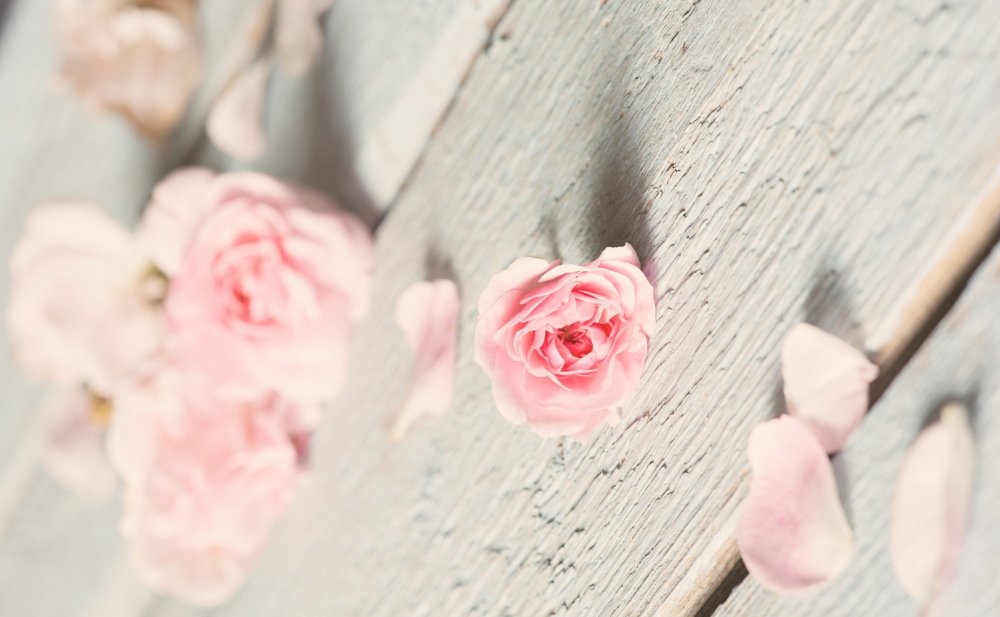 Нежный цветок