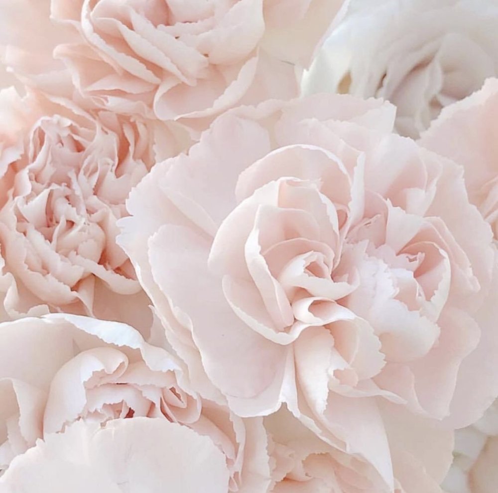 Розовый акварельный фон