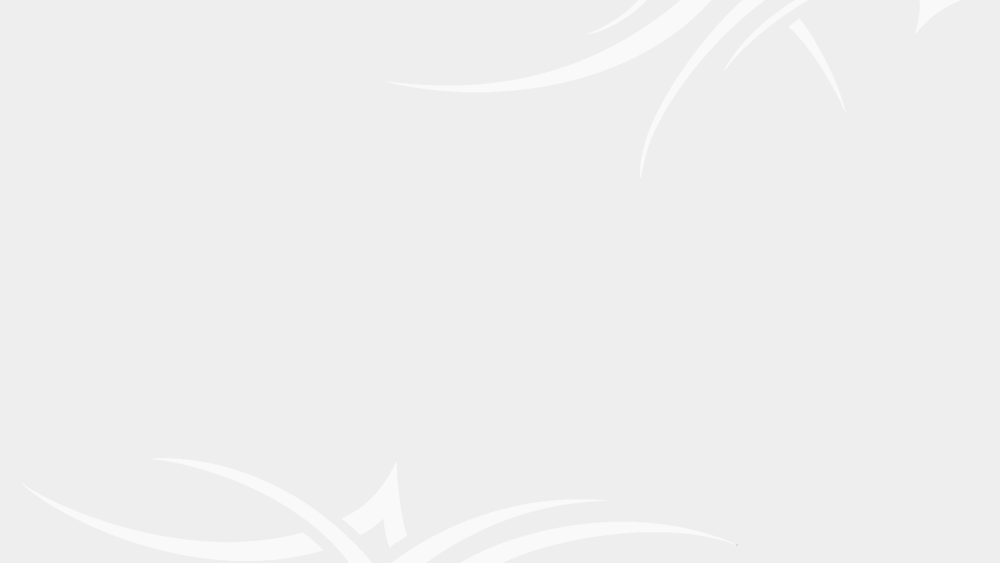 Белый фон для презентации