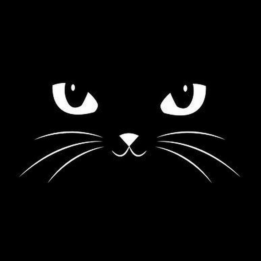 Морда кота на черном фоне