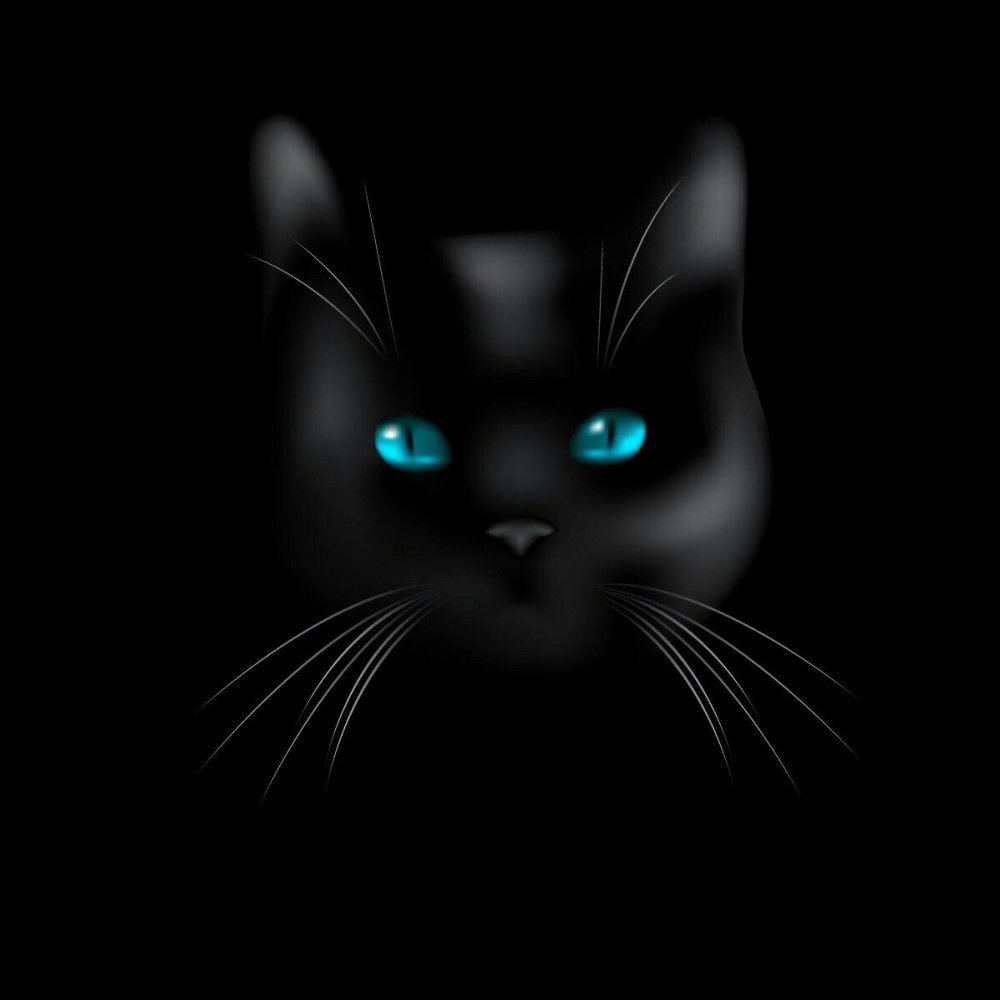 Кошачьи глаза на темном фоне