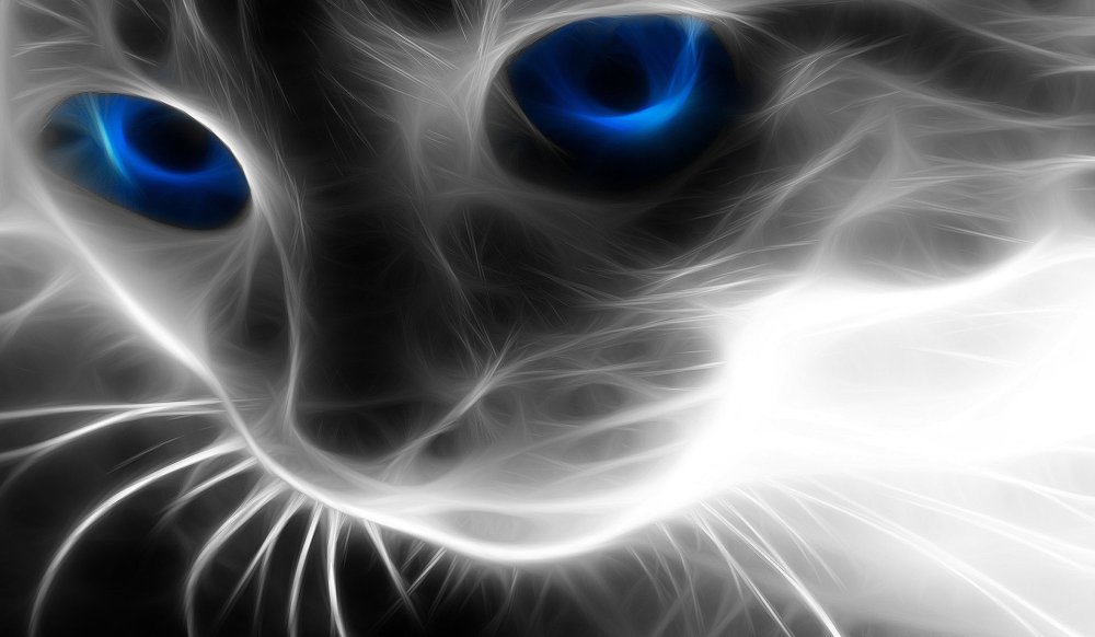 Кот из дыма