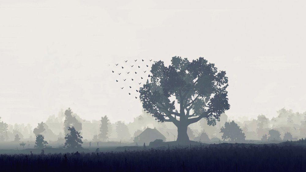 Горы в тумане