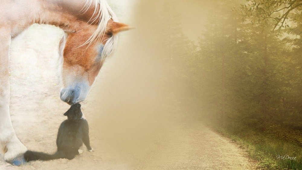 Блэк Хорс актёры