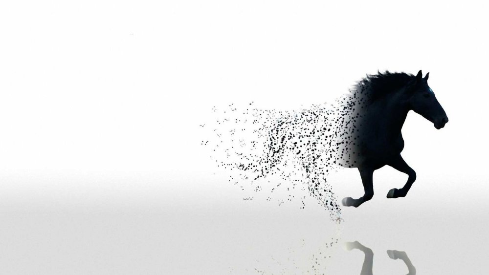 Лошадь на темном фоне