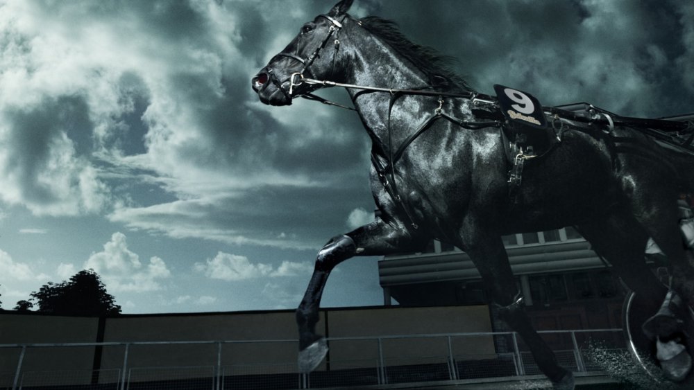 Красивые арты лошадей