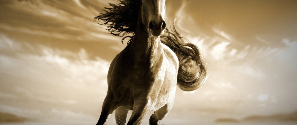 Келпи Гарри Поттер