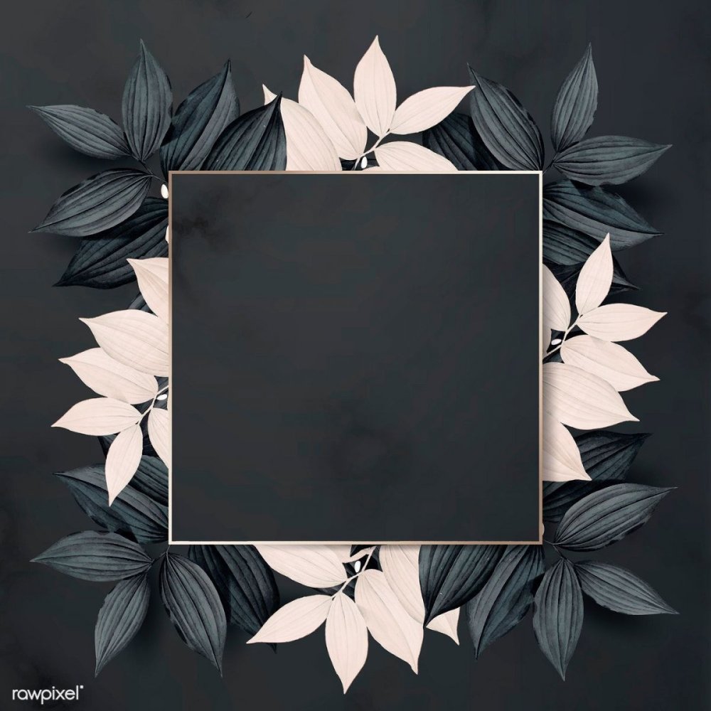 Чёрный фон для инстаграма