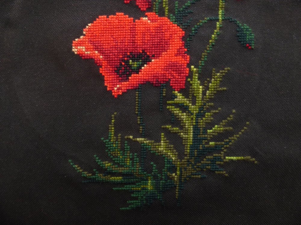 Риолис маки 1057