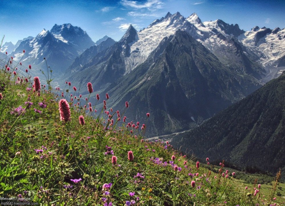 Домбай Альпийские Луга