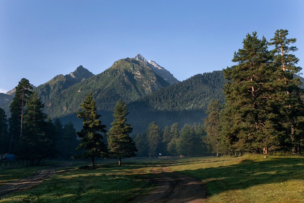 Флора Лунная Поляна Архыз