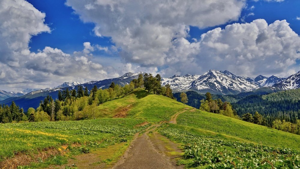 Предгорье Архыз