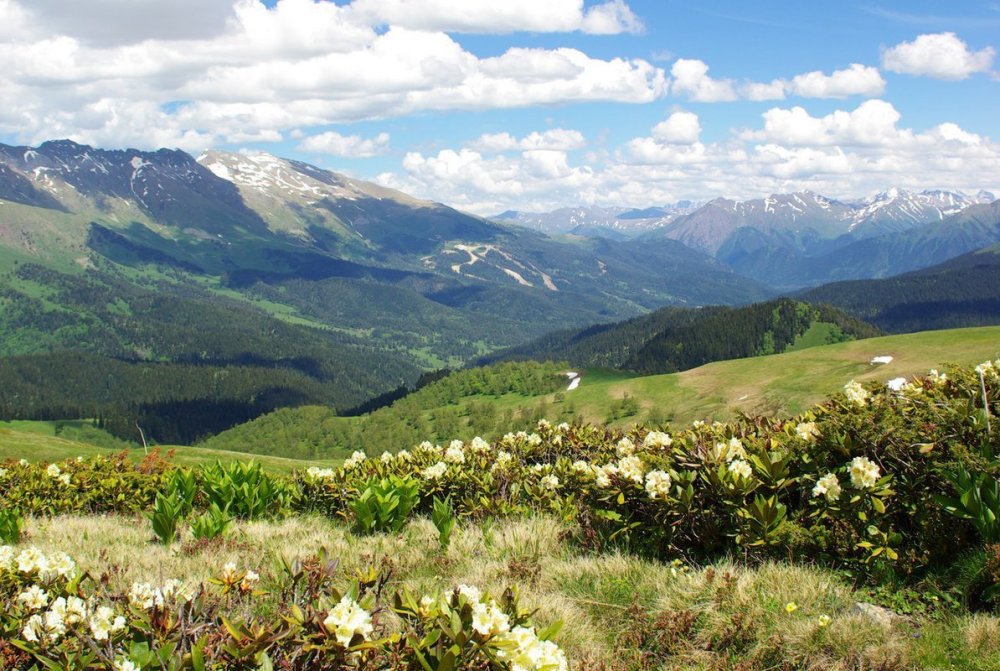 Карачаево-Черкесия горы Архыз