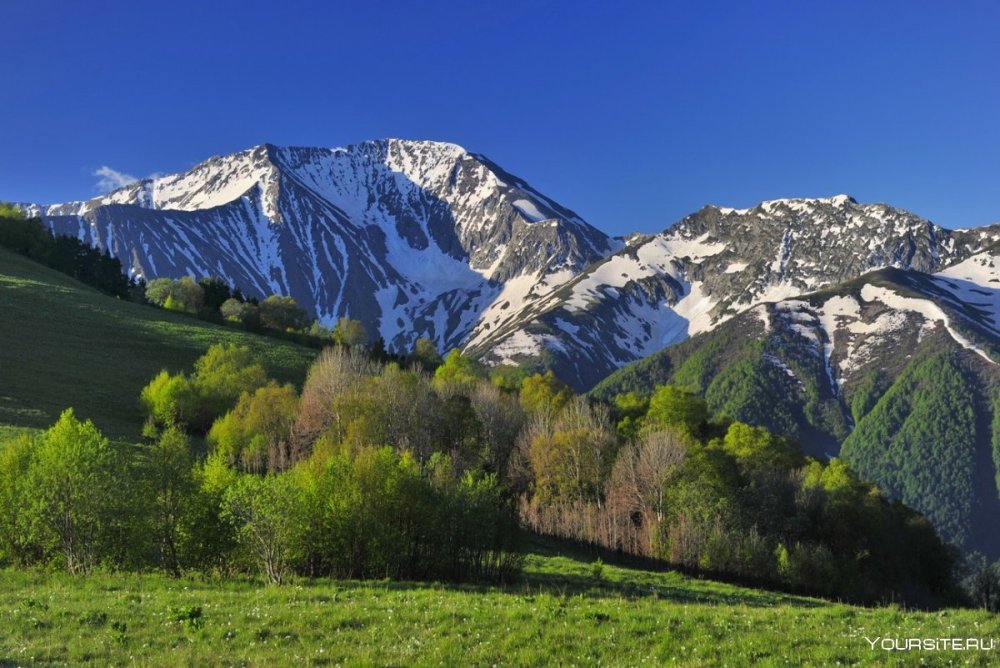 Кавказский биосферный заповедник Адыгея