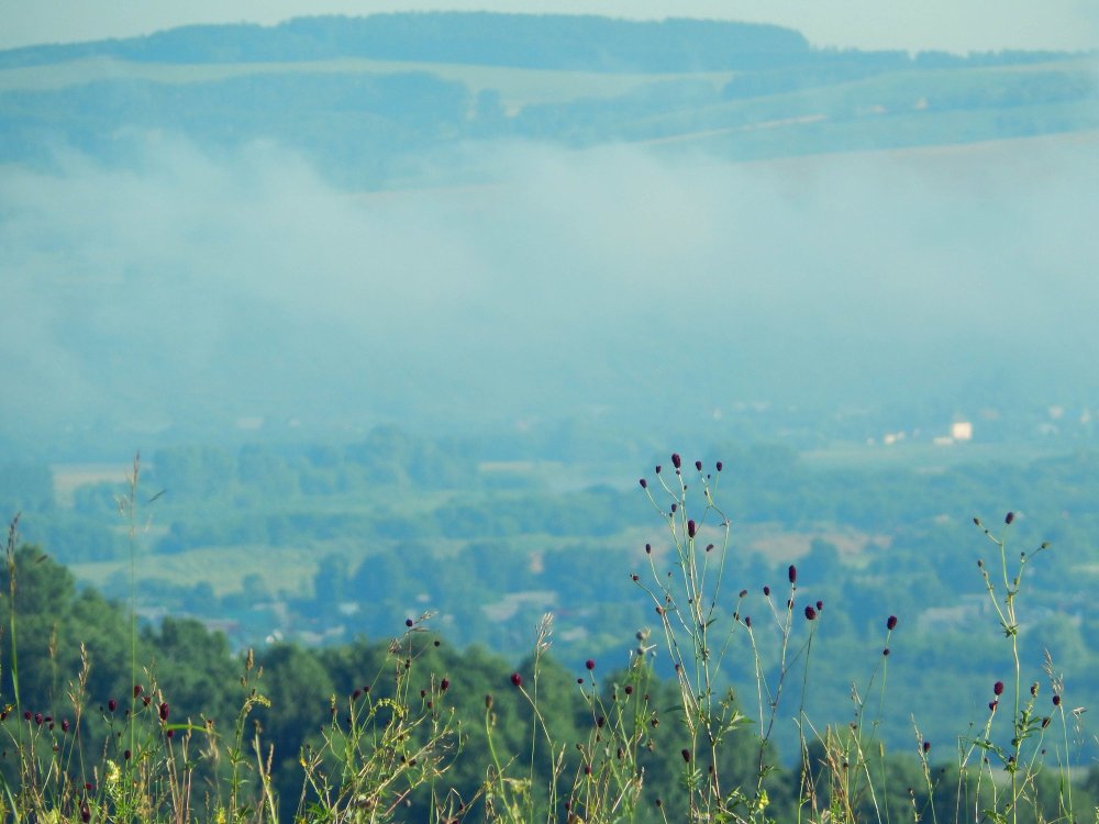 Картинки на рабочий стол безмятежность