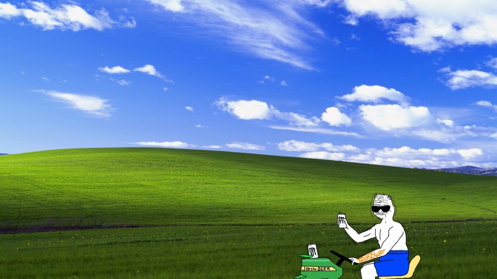 Поле Windows XP