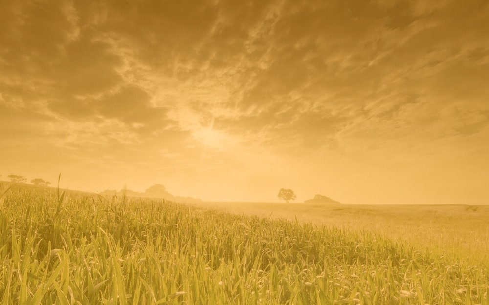 Чарльз о Риэр безмятежность