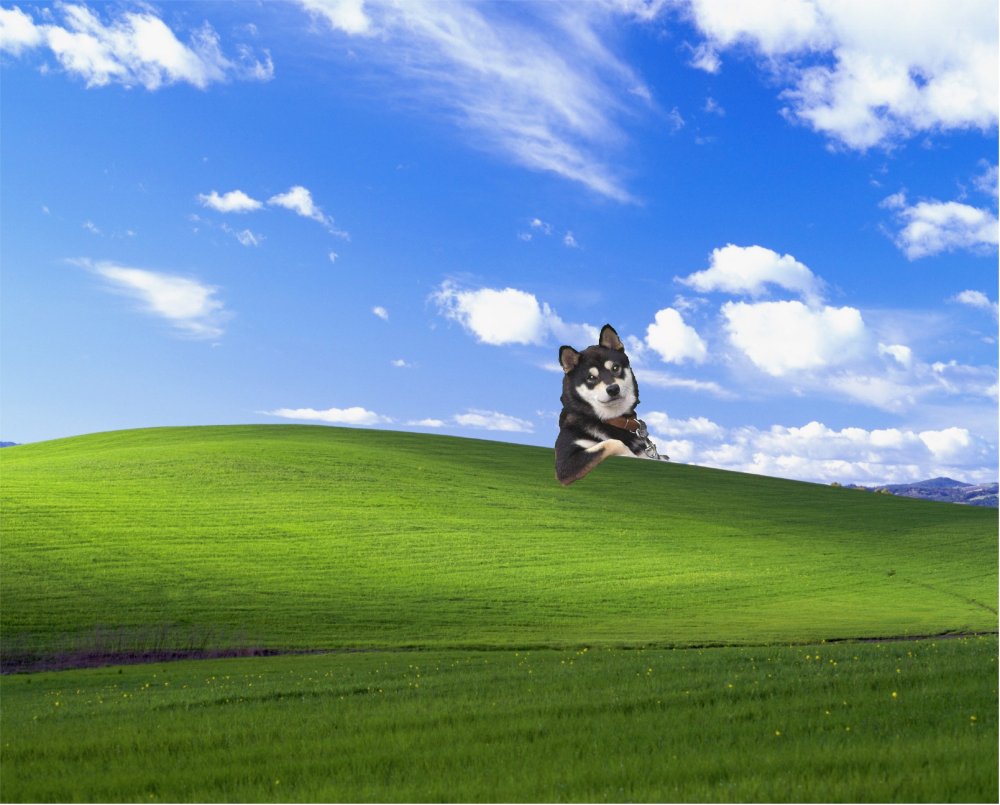 Безмятежность картинки