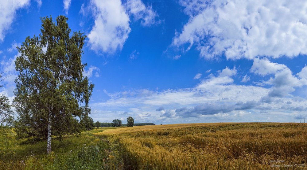 Слайд для презентации природа