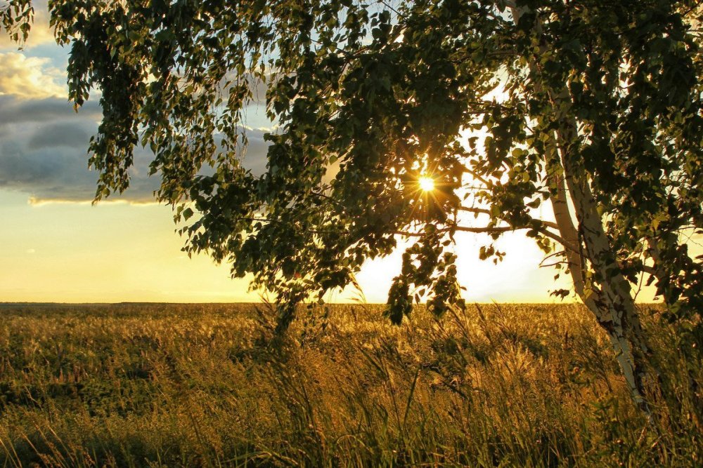 Родина природа