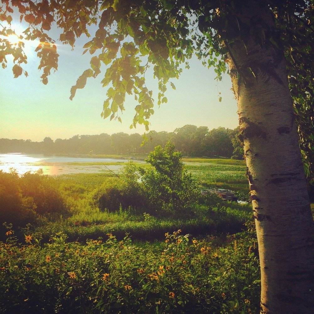 Родина природа