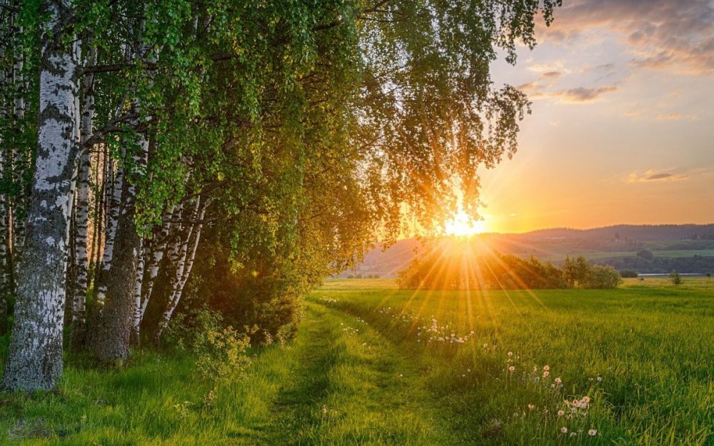 Летний пейзаж