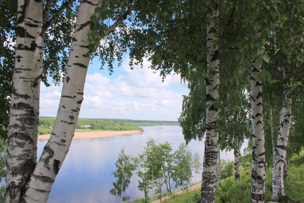 Оптина пустынь в тумане