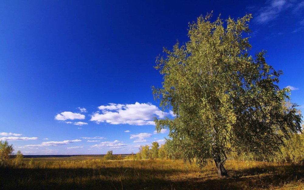 Майское солнце