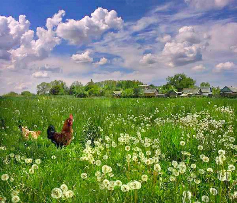 Фон для презентации краеведение