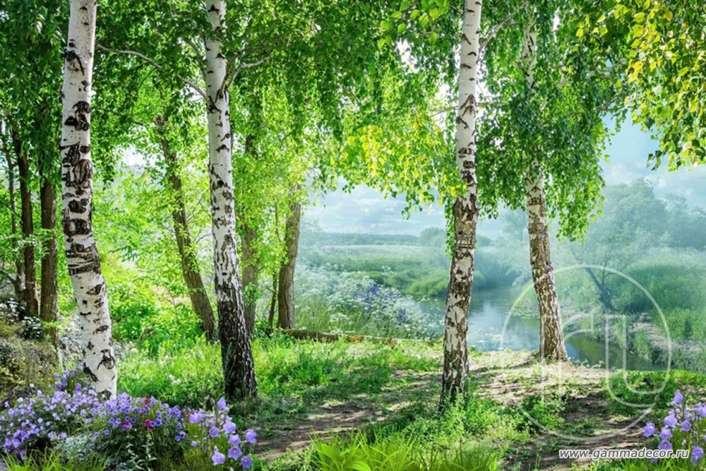 Родные просторы России