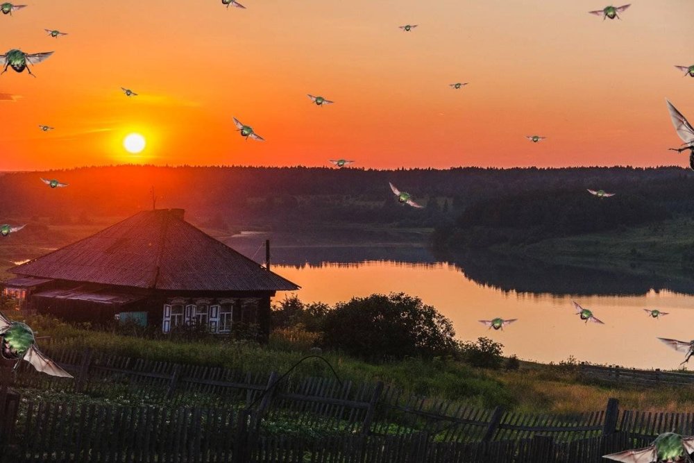 Фотограф Сергей Давыдов
