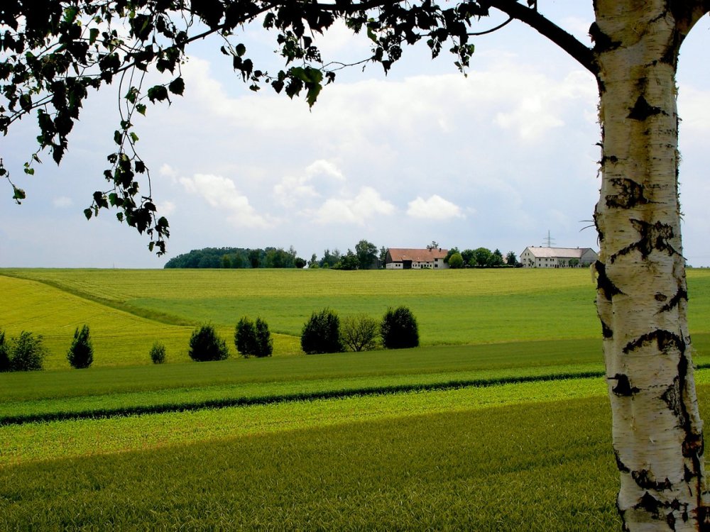 Русь Матушка соборы