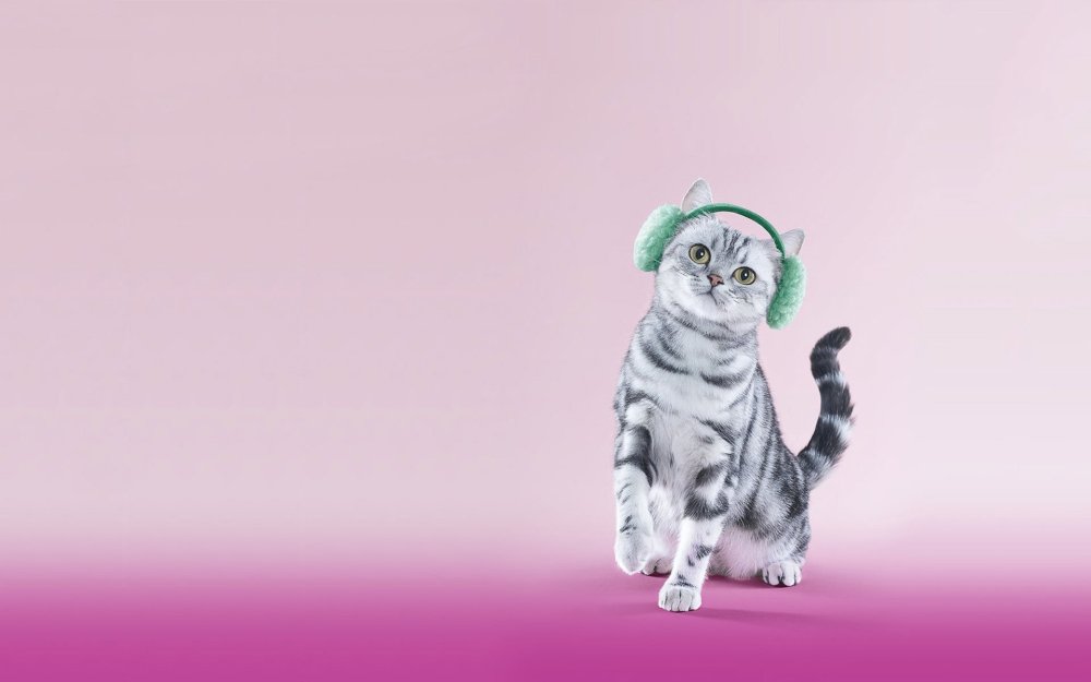 Зеленый кот