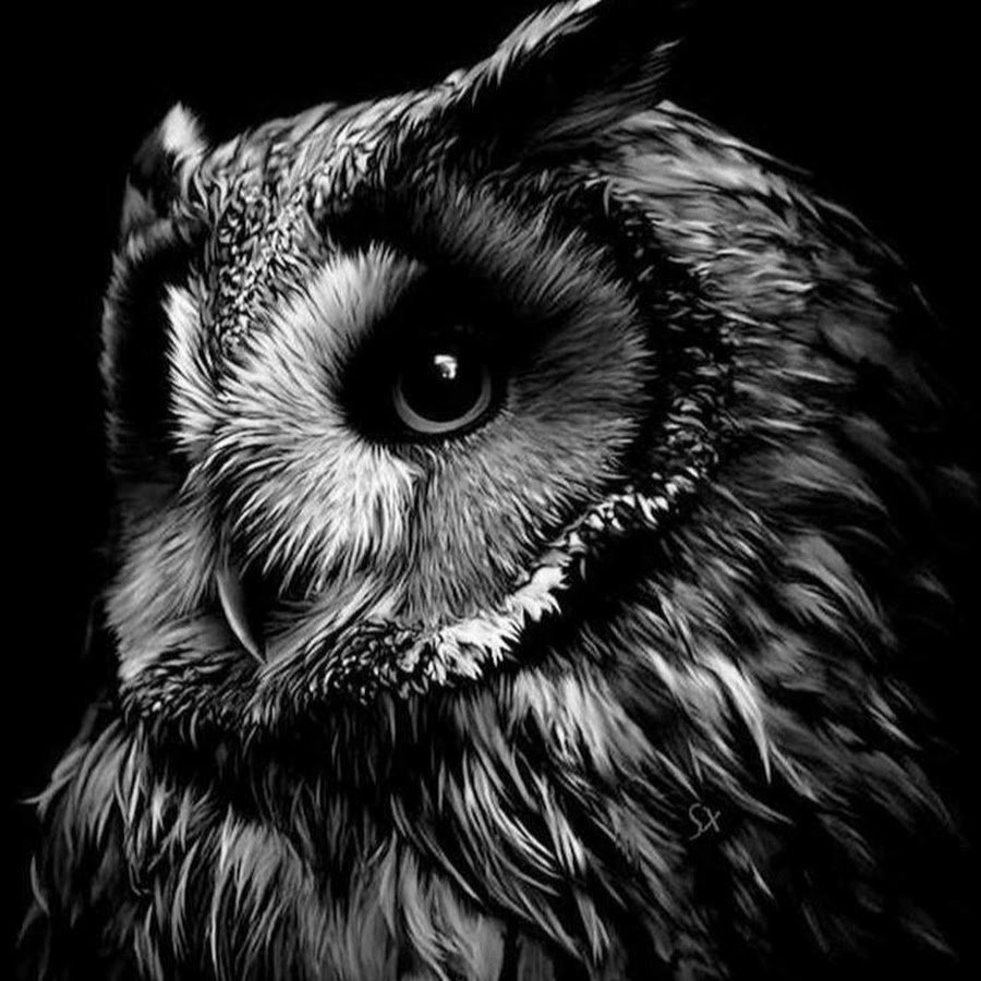 Чёрная Сова