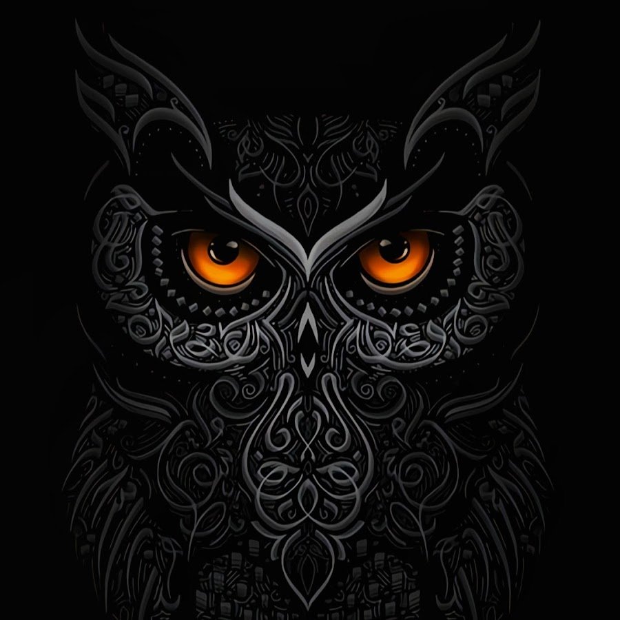 Филин на обои черные