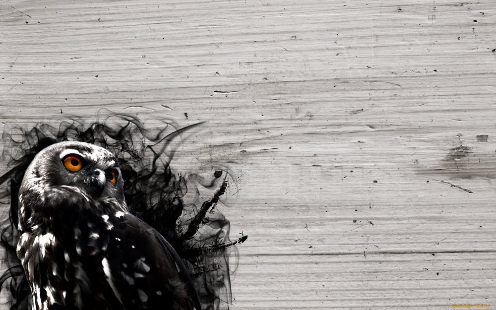 Сова арт на рабочий стол