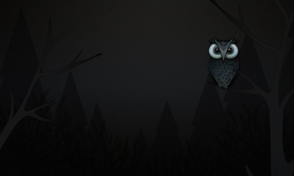 Песнь ночных сов обои на ПК