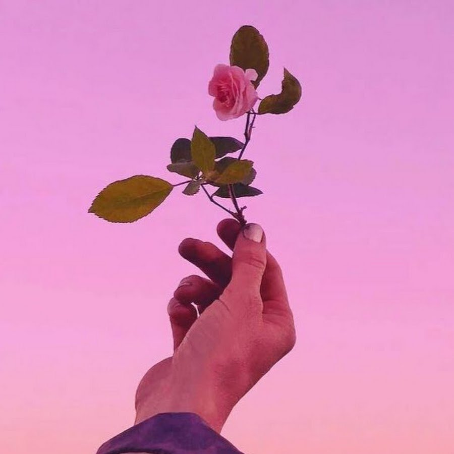 Эстетика цветов