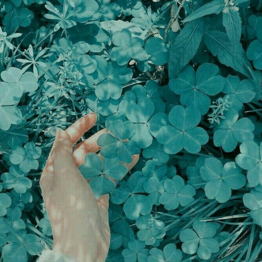 Эстетика бирюзового