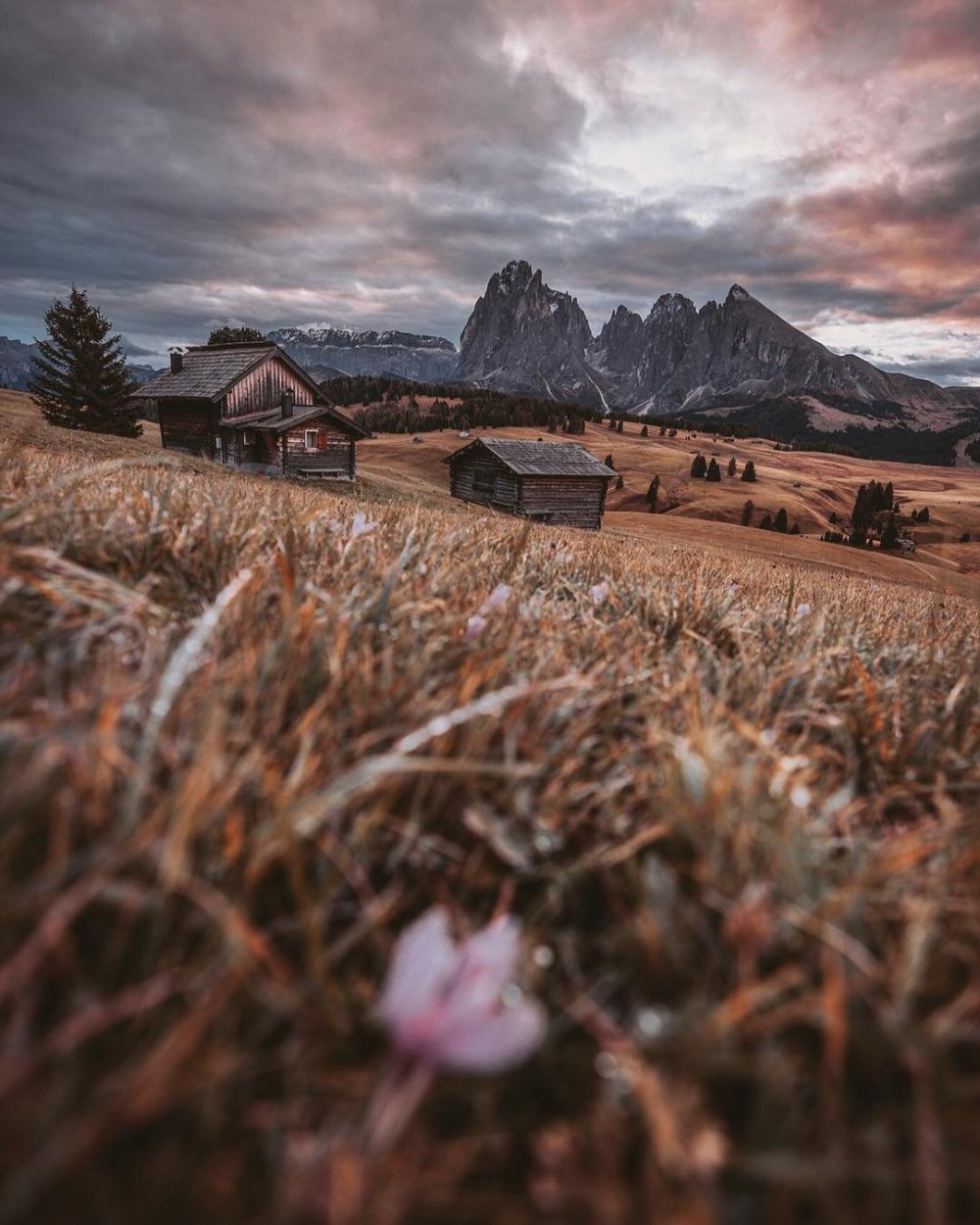 Пейзаж Эстетика