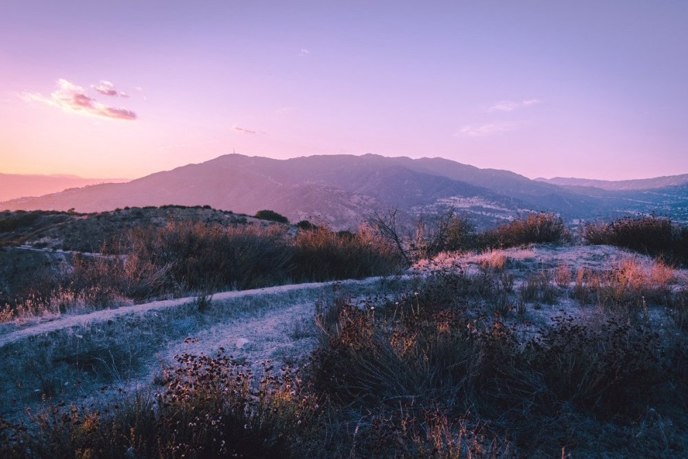 Пейзаж Эстетика