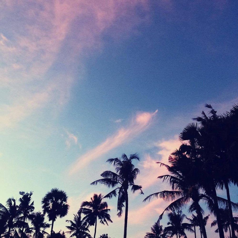 Лето Эстетика