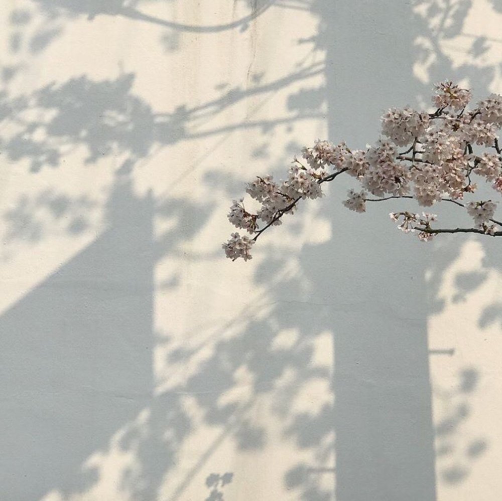 Эстетика бежевый Минимализм