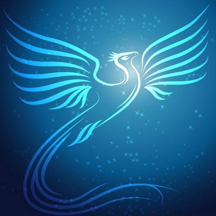 Жар птица на синем фоне