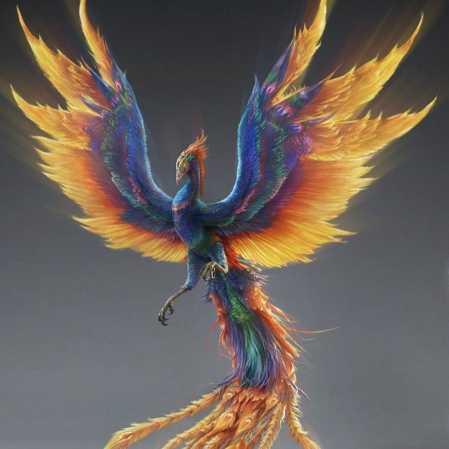 Ношин Феникс