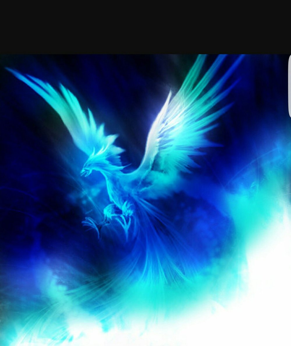 Семицветный Феникс