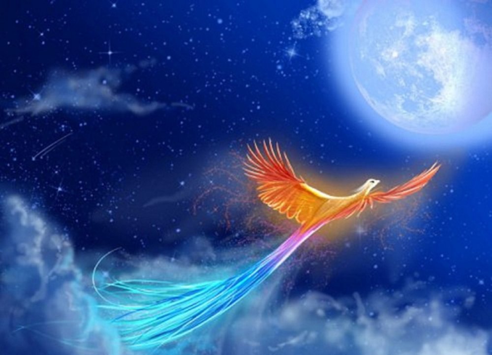 Синий Феникс девушка