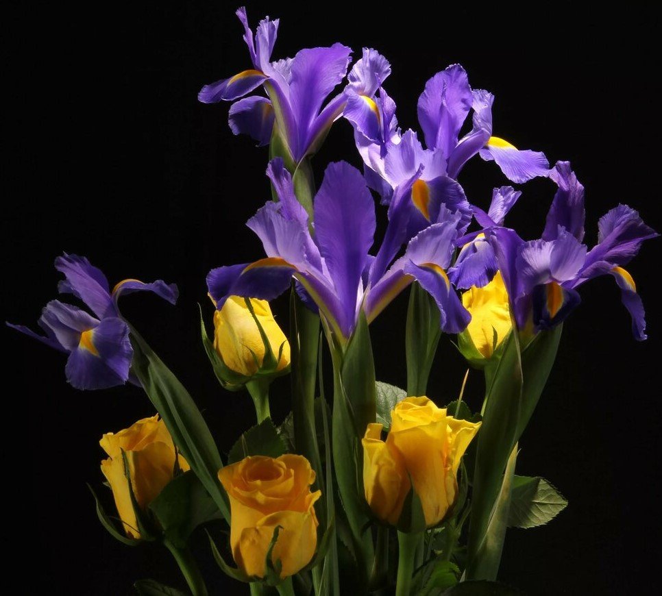 Ирисы букет
