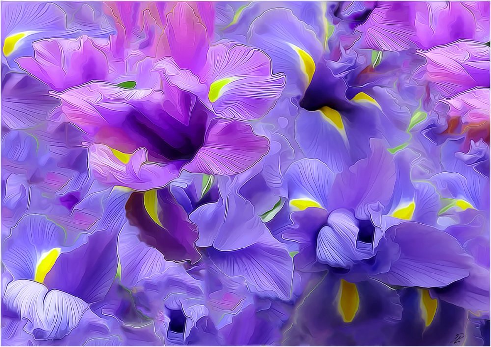 Сиренево желтые цветы